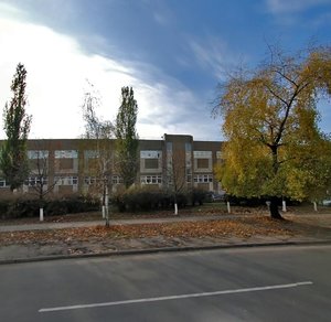 Berezniakivska Street, 29, Kyiv: photo
