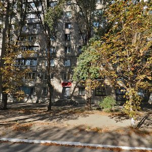 Prospekt Anoshkina, 103, Kamianske: photo