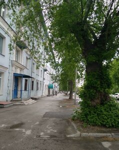 Kotovskogo Street, 17 ، نوفوسيبيرسك: صورة