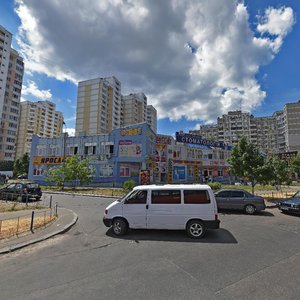 Mykoly Lavrukhina Street, 3, Kyiv: photo