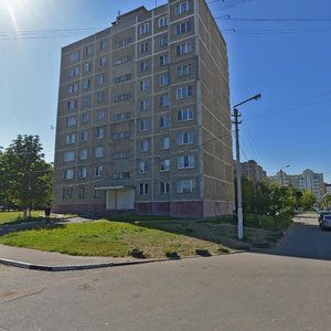 Moskovskaya Street, 100, Chehov: photo