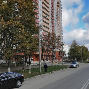 Petra Kalnyshevskoho Street, 7, Kyiv: photo