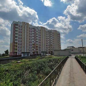 Липецк, Бородинская улица, 76: фото