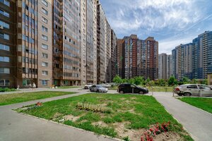 Lyzhniy Lane, 8к1 ، سان بطرسبرغ: صورة