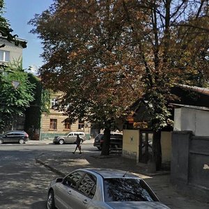 Lychakivska vulytsia, 83, Lviv: photo