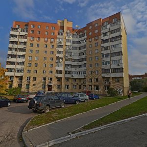 Mielnikajte Street, 8, Minsk: photo