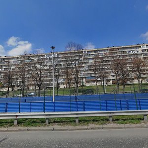 Borschahivska Street, 16, Kyiv: photo