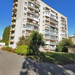 Mykhaila Dontsia Street, 28, Kyiv: photo