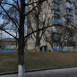 Harmatna Street, 38, Kyiv: photo
