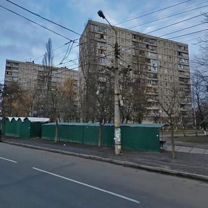 Vasylia Poryka Street, 14 ، كييف: صورة