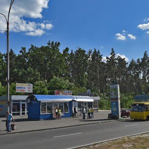 Staroboryspilska Street, 1, : foto