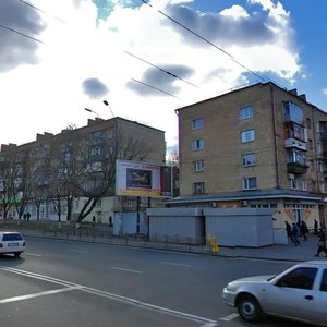 Oleny Telihy Street, 11, Kyiv: photo
