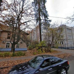 Mykhaila Kotelnykova Street, 23, Kyiv: photo