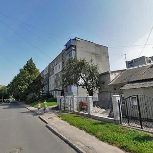 Vulytsia Boichuka, 5, Lviv: photo