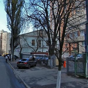 Panasa Myrnoho Street, 28, Kyiv: photo