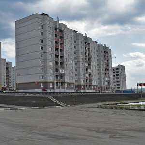 Sevastopolskaya ulitsa, 117 ، : صورة