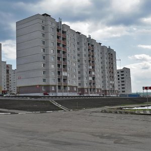 Sevastopolskaya ulitsa, 117, Gubkin: photo