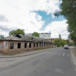 Vitriani Hory Street, 1, Kyiv: photo