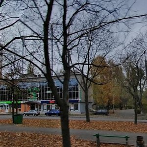 Verkhovnoi Rady Boulevard, 12 ، كييف: صورة