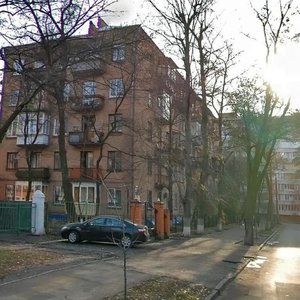Киев, Улица Профессора Подвысоцкого, 17/5: фото