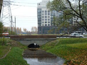 Petergofskoe Highway, 59, Saint Petersburg: photo