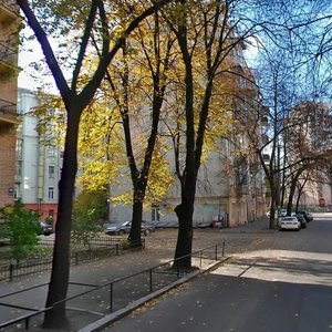 Sichovykh Striltsiv Street, 14А, Kyiv: photo