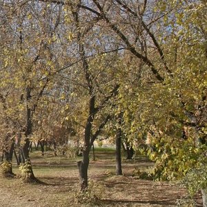 Internatsionalnaya ulitsa, 48, Usole‑Sibirskoe: photo