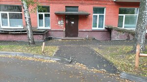 Dusi Kovalchuk Street, 406, : foto