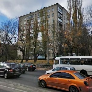 Oleny Telihy Street, 39, Kyiv: photo