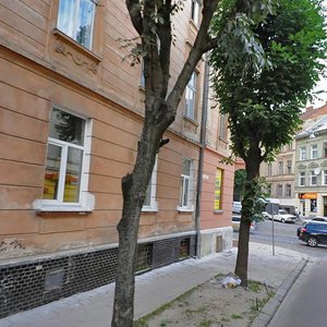 Vulytsia Dmytra Vitovskoho, 3, Lviv: photo