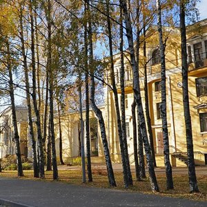 Lenina Avenue, 14, Zelenogorsk: photo