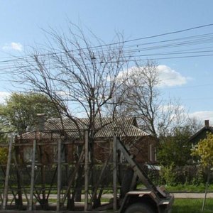 Ростов‑на‑Дону, Портовая улица, 322А: фото
