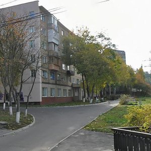 Volodymyra Salskoho Street, 33, : foto