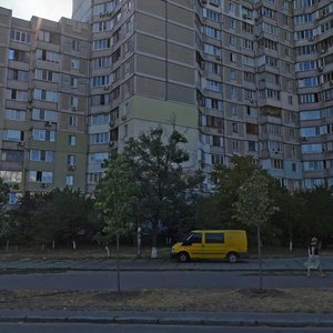 Dekabrystiv Street, 8, Kyiv: photo