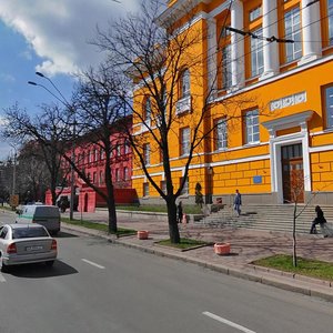 Volodymyrska Street, 58, Kyiv: photo