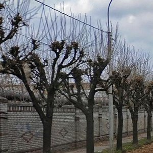 Gorkogo Street, 1с1, : foto