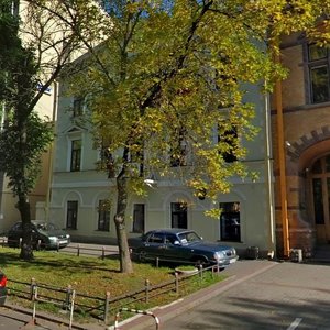 4th Vasilyevskogo Ostrova Line, 11 ، سان بطرسبرغ: صورة
