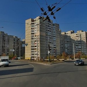 Maryny Tsvietaievoi Street, 10/87, Kyiv: photo