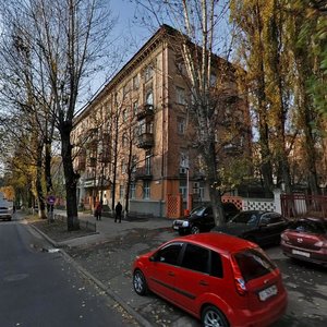 Profesora Pidvysotskoho Street, 7, Kyiv: photo