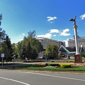 Pushkina Street, 10, Penza: photo