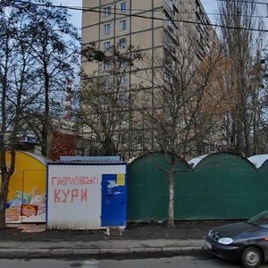 Vasylia Poryka Street, 14, Kyiv: photo