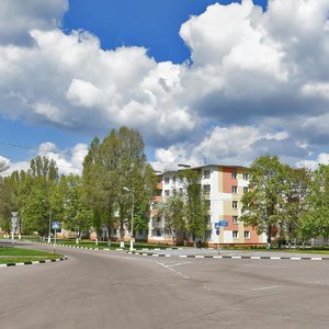 Lenina Street, 5, Stroitel: photo