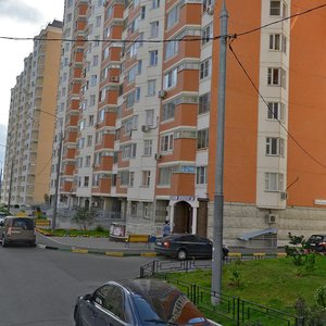 Lyotchika Gritsevtsa Street, 4к1, Moscow: photo