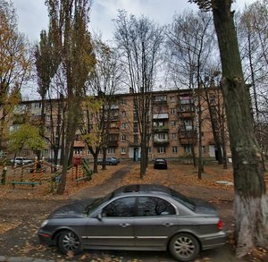 Henerala Henadіia Vorobiova Street, 18, Kyiv: photo