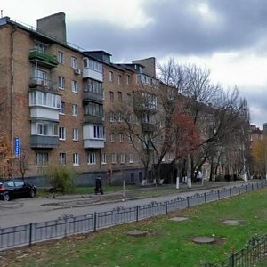 Bohdana Havrylyshyna Street, 16, Kyiv: photo