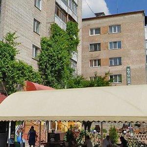 Vulytsia Vasylia Poryka, 16А, : foto