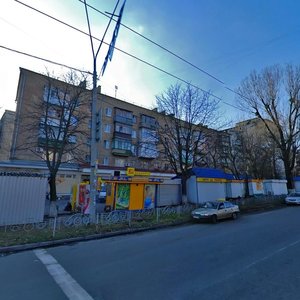 Dorohozhytska Street, 13, Kyiv: photo