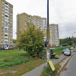 Mashynobudivna Street, 21, Kyiv: photo