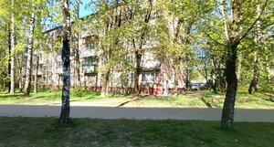 Смоленск, Улица Нормандия-Неман, 22: фото