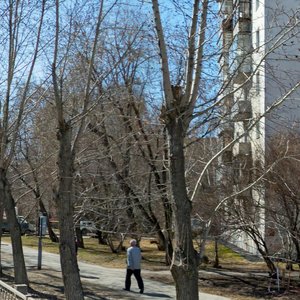 Sovetskaya Street, 15, : foto